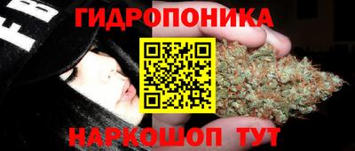 стаф Будённовск