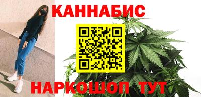 стаф Будённовск