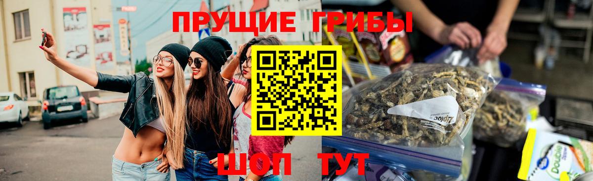 Боровичи  как найти закладки  Вход с VPN  Псилоцибиновые грибы прущие грибы  Псилоцибиновые грибы Magic Shrooms 